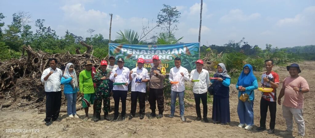 Penanaman Jagung Program 1 Desa 1 Hektar di Desa Ibru Menunjang Ketahanan Pangan Desa