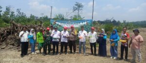 Penanaman Jagung Program 1 Desa 1 Hektar di Desa Ibru Menunjang Ketahanan Pangan Desa